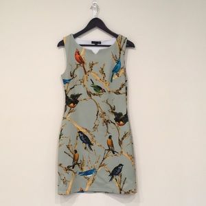 Size 8 Smashed lemon bird dress in great condition